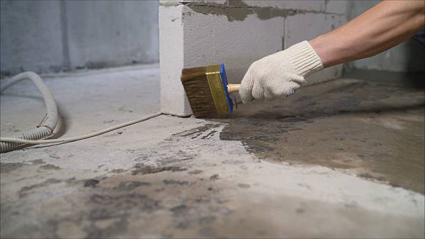 24/7 Emergency Wet Basement Repair experts in Sidney, MI